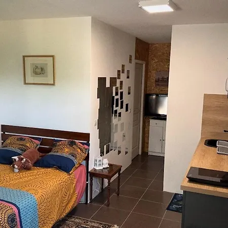 Climatisé Véranda Jardin Privé Сasa de vacaciones *